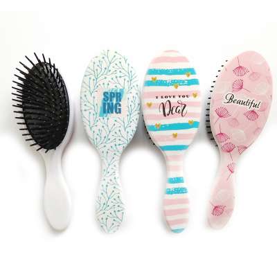 Professional Oval Paddle Hairbrush Plastic Custom Hair Brush